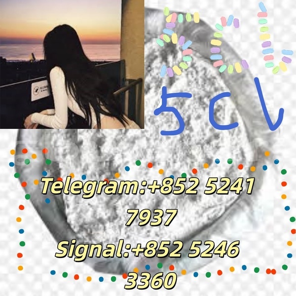 Big with watermark adler 1902 western barotu 14618