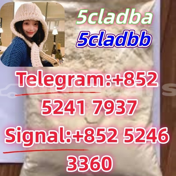 Big with watermark adler 1902 western ba 14621