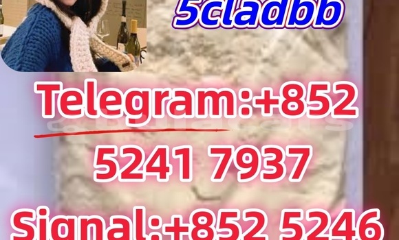 Buy Used Adler 1902 Beige Bike in Ba in Western