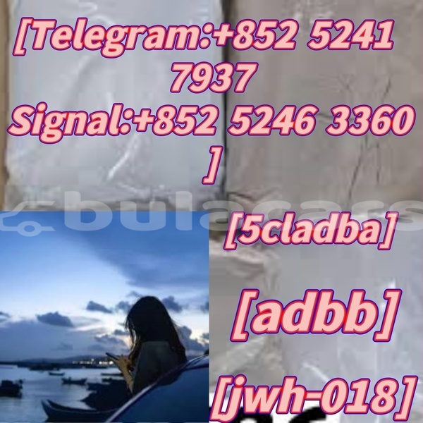 Big with watermark adler 1902 western ba 14622