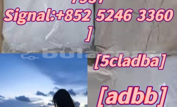 Buy Used Adler 1902 Beige Bike in Ba in Western