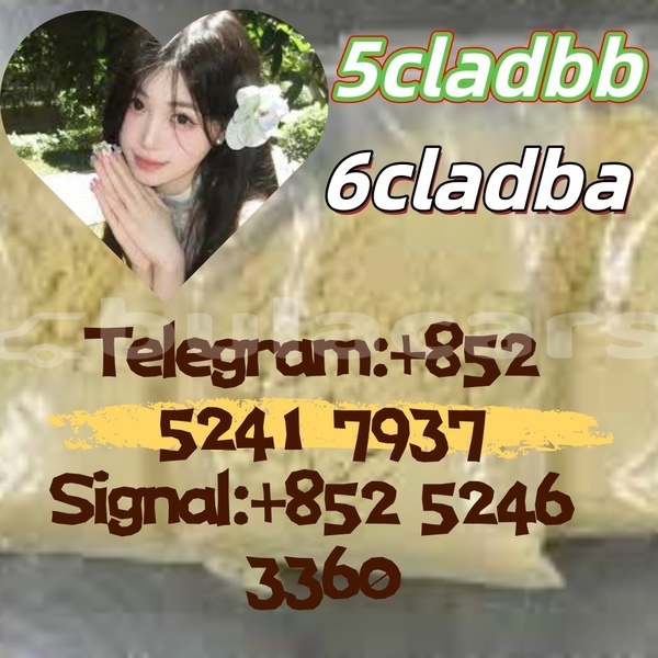 Big with watermark adler 1902 western barotu 14623