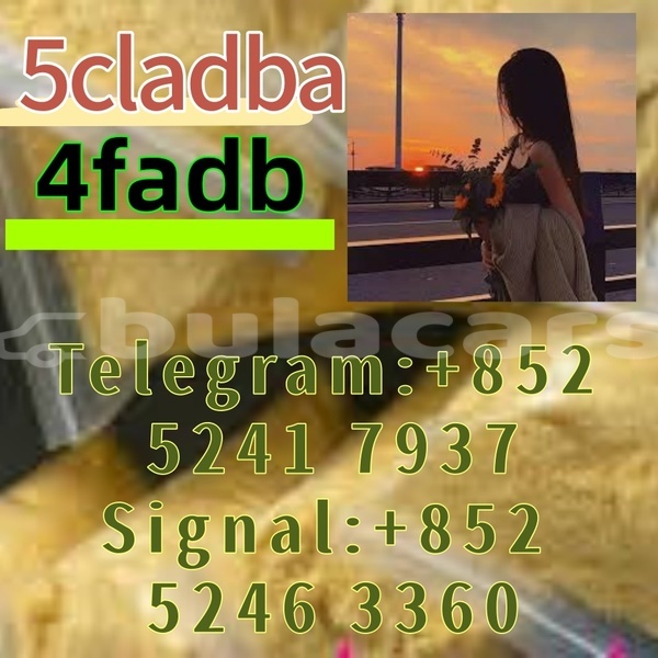 Big with watermark adler 1902 western ba 14624