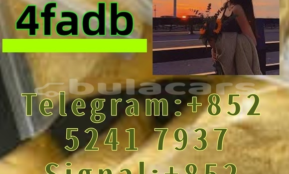 Buy Used Adler 1902 Beige Bike in Ba in Western