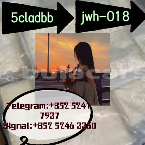 Big with watermark adler 1902 western ba 14625