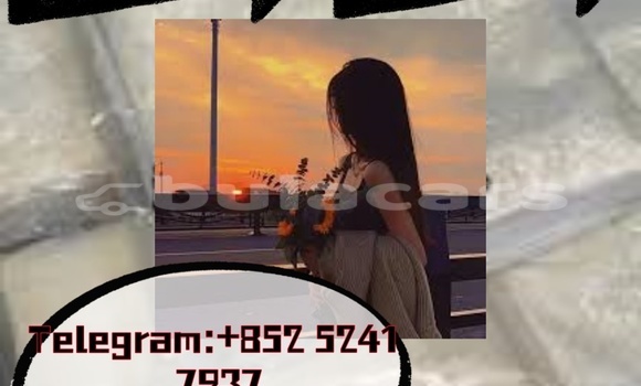 Buy Used Adler 1902 Beige Bike in Ba in Western