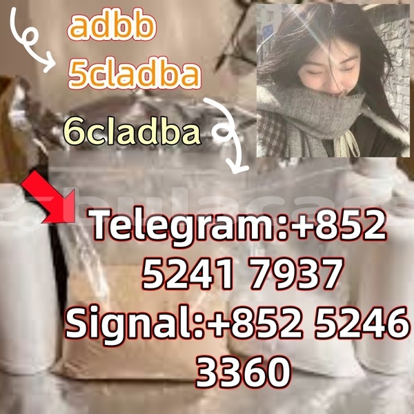 Big with watermark adler 1902 western ba 14626