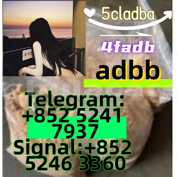 Big with watermark adler 1902 western ba 14627