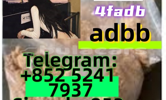 Buy Used Adler 1902 Beige Bike in Ba in Western