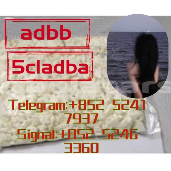 Big with watermark adler 1902 western ba 14628