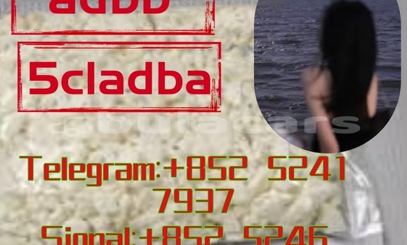 Buy Used Adler 1902 Beige Bike in Ba in Western