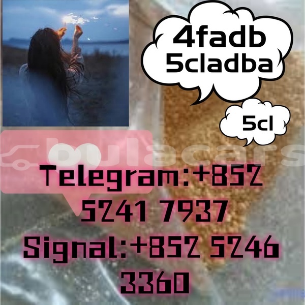 Big with watermark adler 1902 western ba 14630