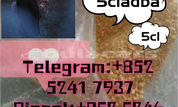 Buy Used Adler 1902 Beige Bike in Ba in Western