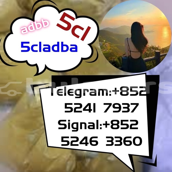 Big with watermark adler 1902 western ba 14631