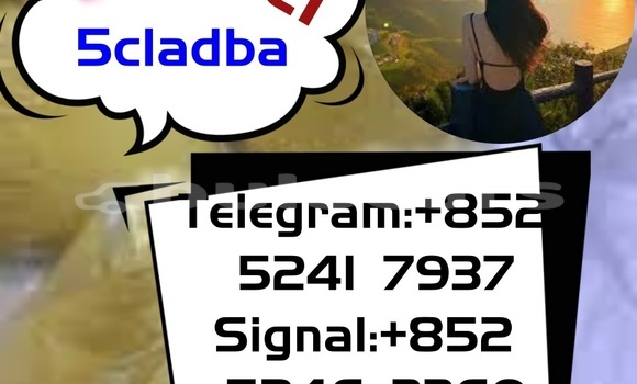 Buy Used Adler 1902 Beige Bike in Ba in Western