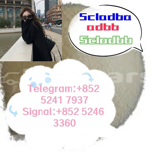 Big with watermark adler 1902 western ba 14632