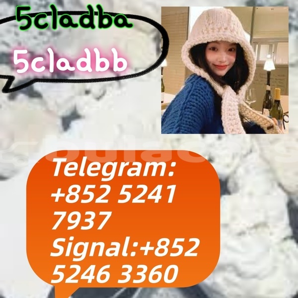 Big with watermark adler 1902 western ba 14633