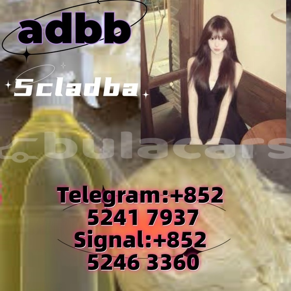 Big with watermark adler 1902 western ba 14634