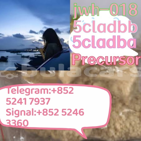 Big with watermark adler 1902 western ba 14635