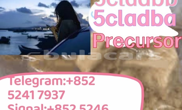 Buy Used Adler 1902 Beige Bike in Ba in Western