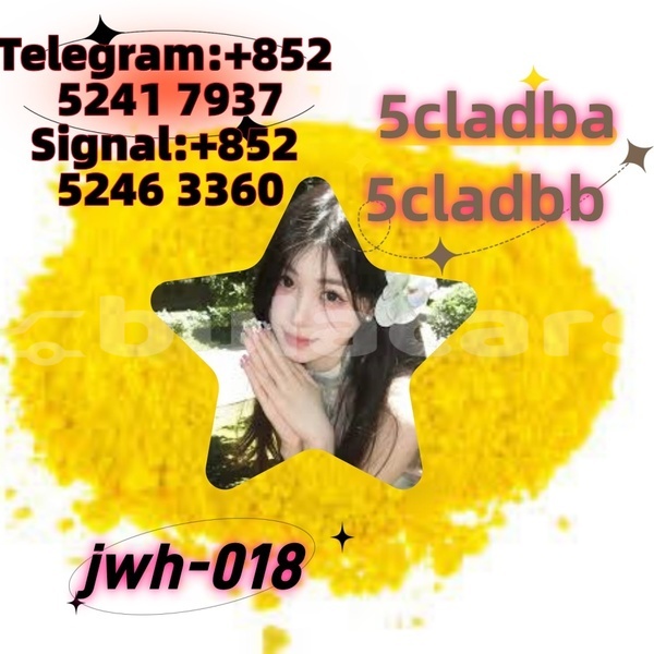 Big with watermark adler 1902 western ba 14636