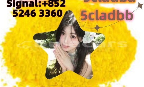 Buy Used Adler 1902 Beige Bike in Ba in Western