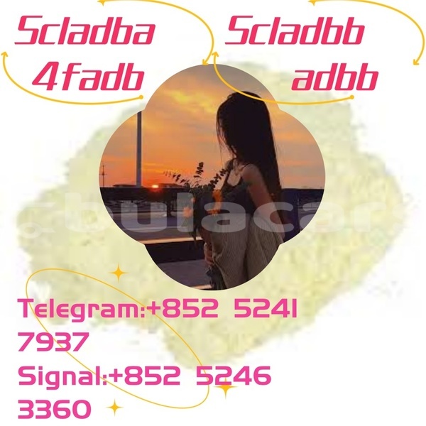 Big with watermark adler 1902 western ba 14637