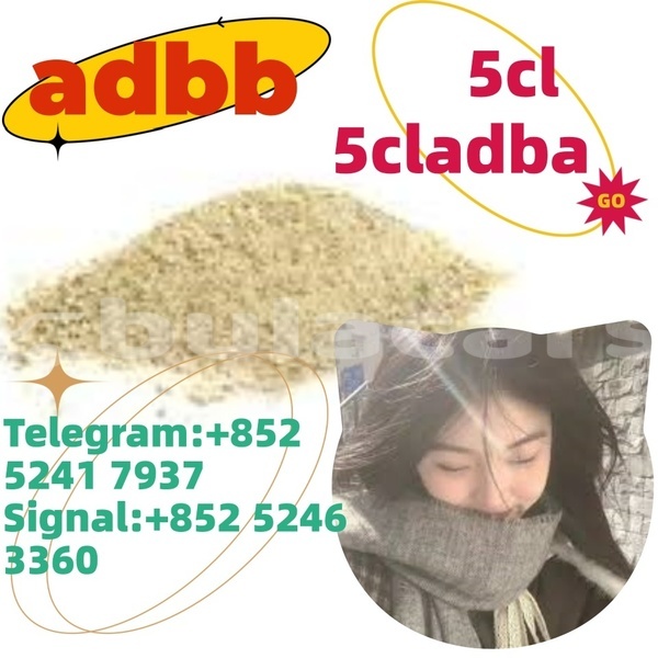 Big with watermark adler 1902 western ba 14638