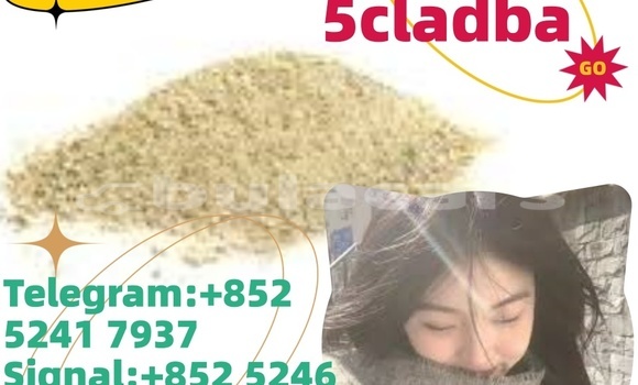 Buy Used Adler 1902 Beige Bike in Ba in Western