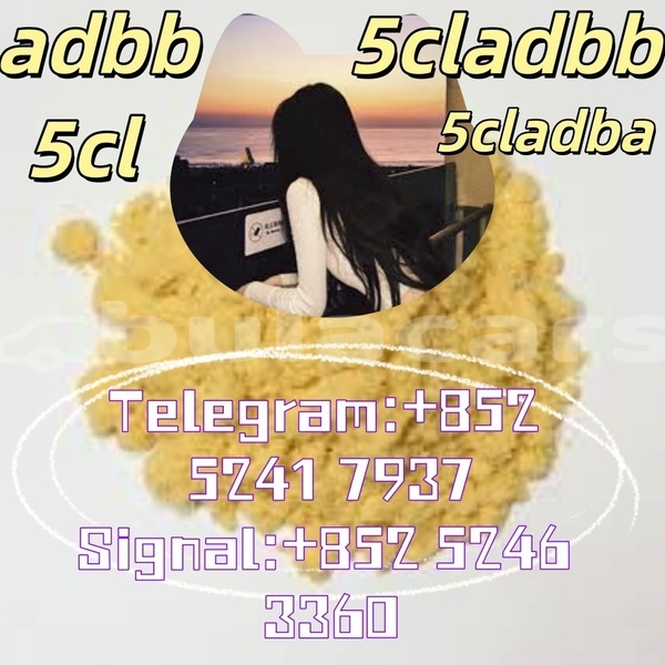 Big with watermark adler 1902 western ba 14639