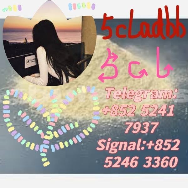 Big with watermark adler 1902 western ba 14640