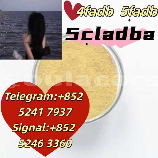 Big with watermark adler 1902 western ba 14641