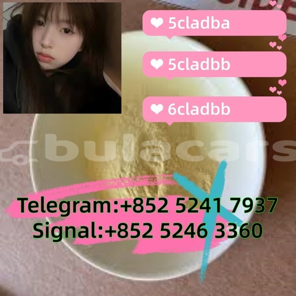 Big with watermark adler 1902 western ba 14642