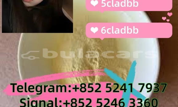 Buy Used Adler 1902 Beige Bike in Ba in Western