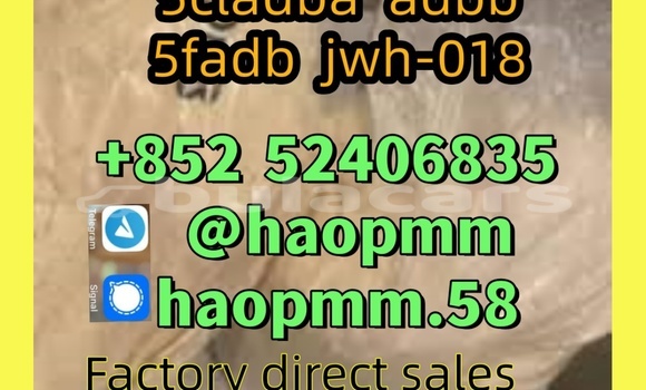  5cl 5cladba Yellow/pink