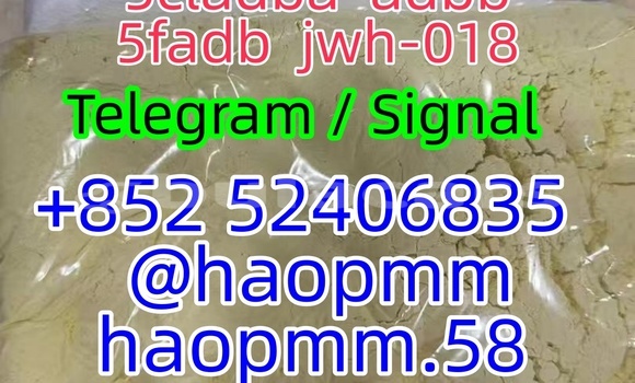 Medium with watermark 11