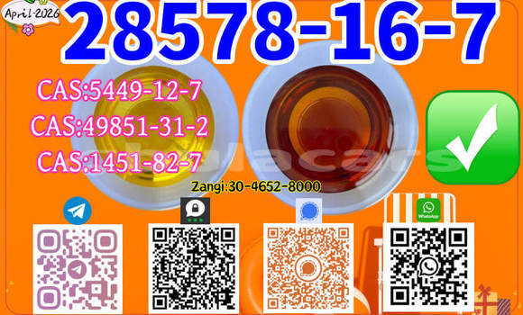 Buy New AC Aceca White Car in Import - Dubai in Central