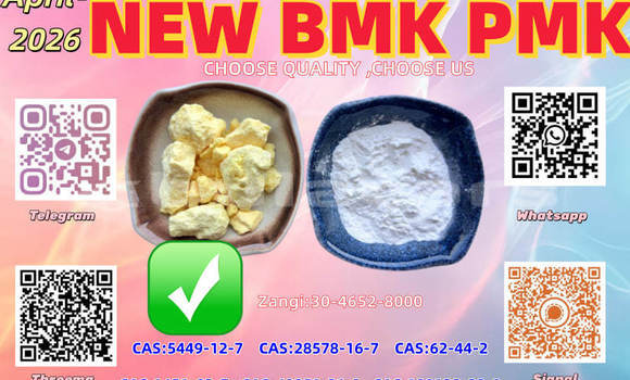 Buy New AC Aceca White Car in Import - Dubai in Central Buy New AC Aceca White Car in Import - Dubai in Central
