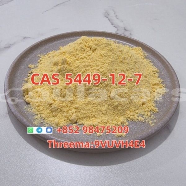 Big with watermark adler trumpf junior northern korokade 14766