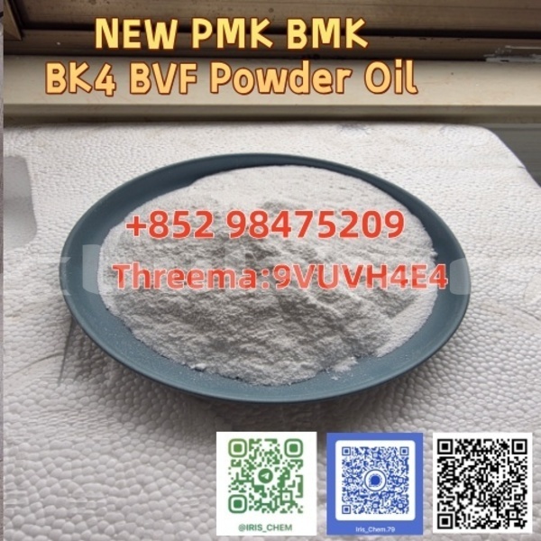 Big with watermark adler trumpf junior northern korokade 14766