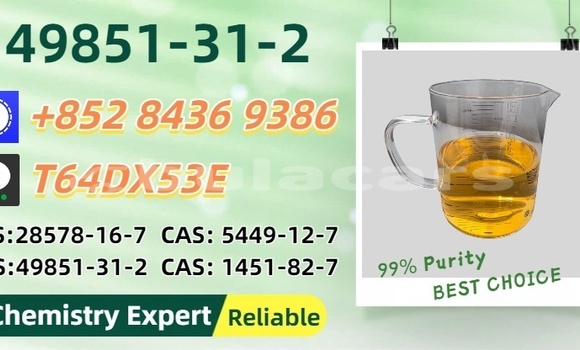 Buy Used Bolwell Nagari Brown Car in Nasoki in Eastern