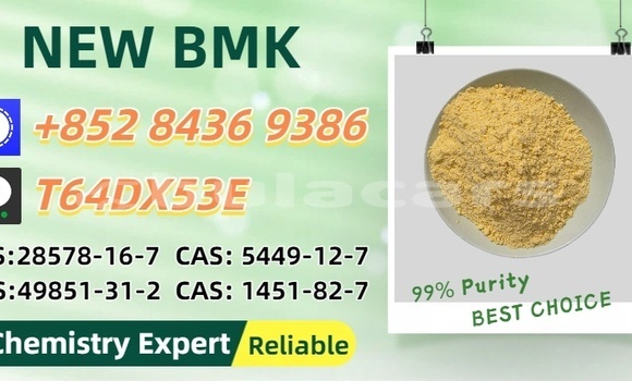 Acheter Occasion Voiture Baltijas Dzips BD-1322 Marron à Naroi, Eastern