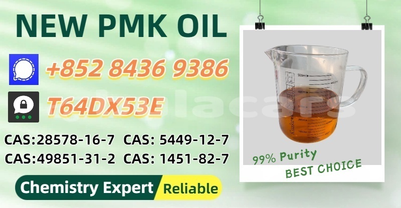 Big with watermark bertone freeclimber eastern nasoki 14775