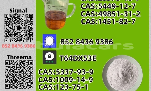 Acheter Occasion Voiture CHTC PICK UP Noir à Nasoki, Eastern