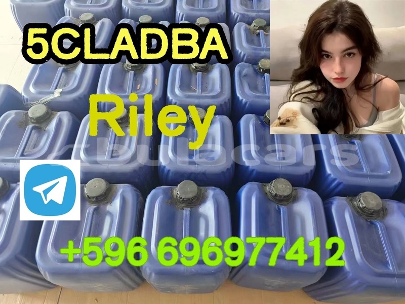 Big with watermark alpina b4 central deuba 14820