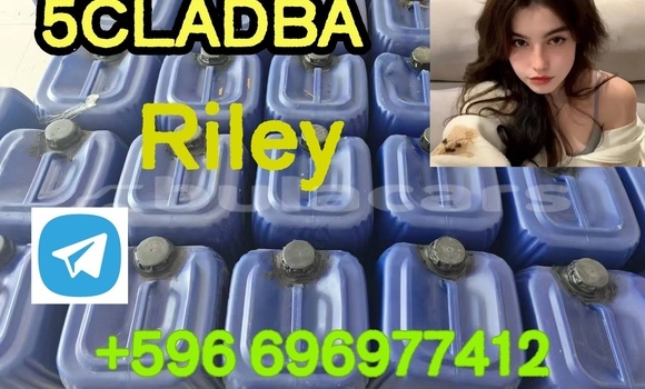 Acheter Neuf Voiture Alpina B4 Bleu à Deuba, Central