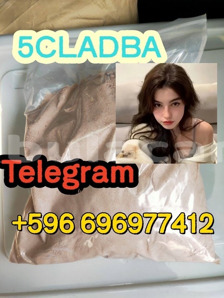 Big with watermark aermacchi brezza central import dubai 14821