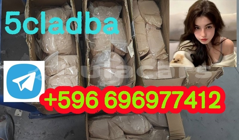 Big with watermark 2.1