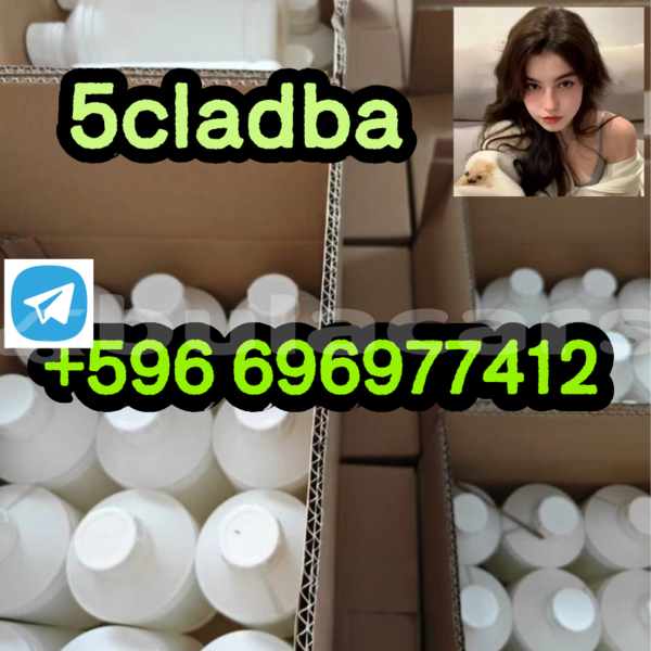 Big with watermark photo 2026 04 21 15 06 45 %e5%89%af%e6%9c%ac