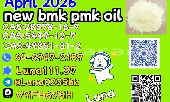 Buy Used AC Ace Blue Car in Barotu in Western